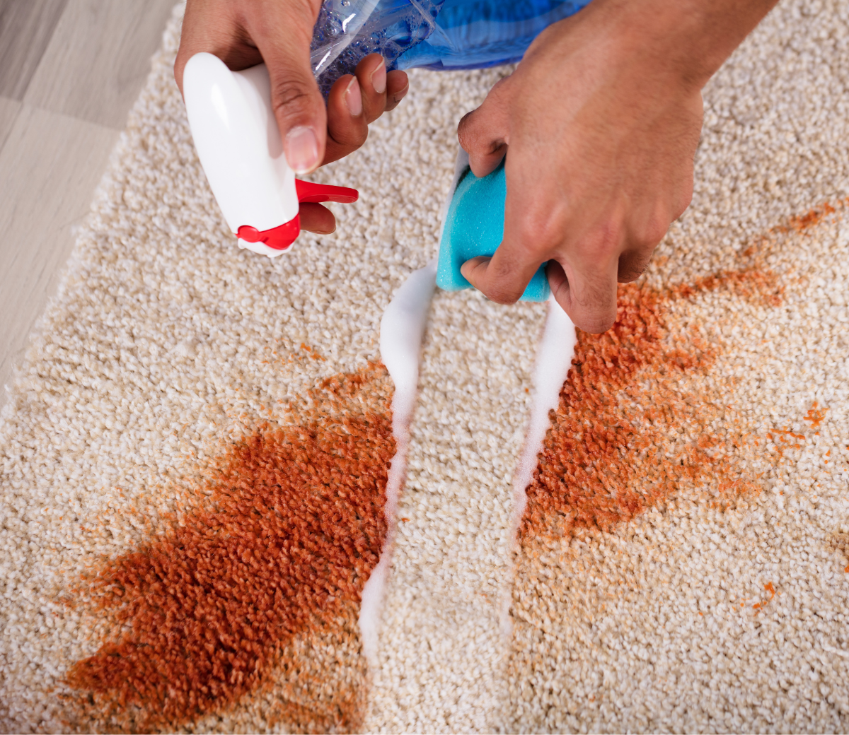 The Dos and Don’ts of Carpet Cleaning